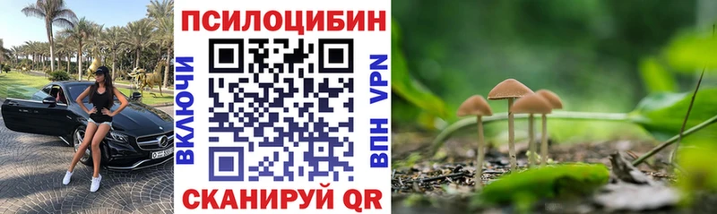 Галлюциногенные грибы прущие грибы  Медынь 